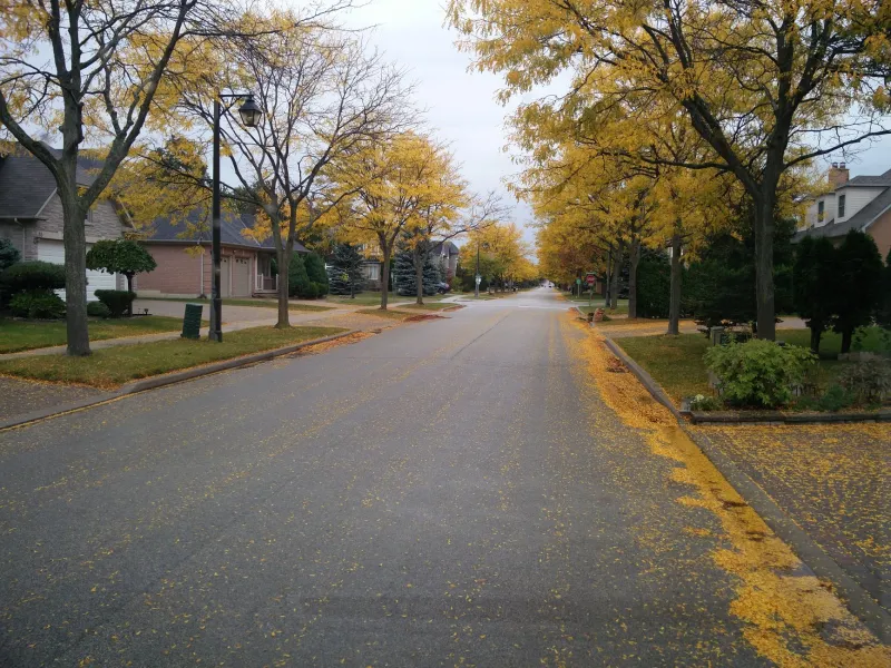 The Hidden Calendar of Indiana Home Buying: How to Time the Market Like a Local